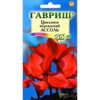 Цикламен персидский Ассоль, 3шт, ЦП, Гавриш