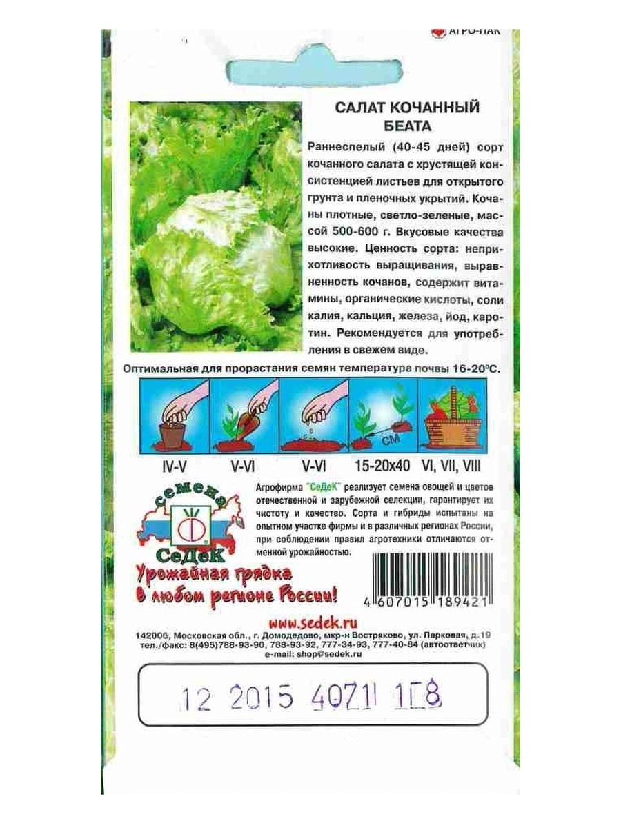 Салат кочанный Беата, 0,5г., ЦП, Седек купить в по цене 19 ₽ рублей