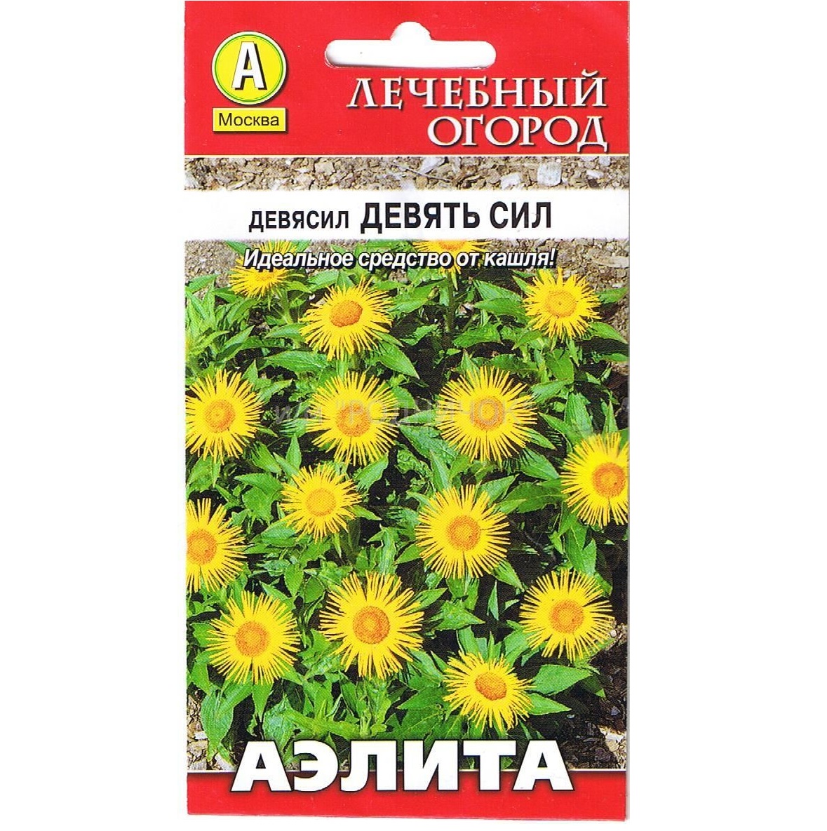 9 сил. Семена девясил девять сил. Аэлита девясил девять сил. Девясил семена. Многолетние лекарственные растения семена.