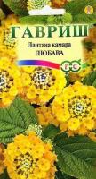 Лантана камара Любава, 0,1г., ЦП, Гавриш