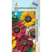 Хризантема килеватая Закат, 0,2г., ЦП, Агрос