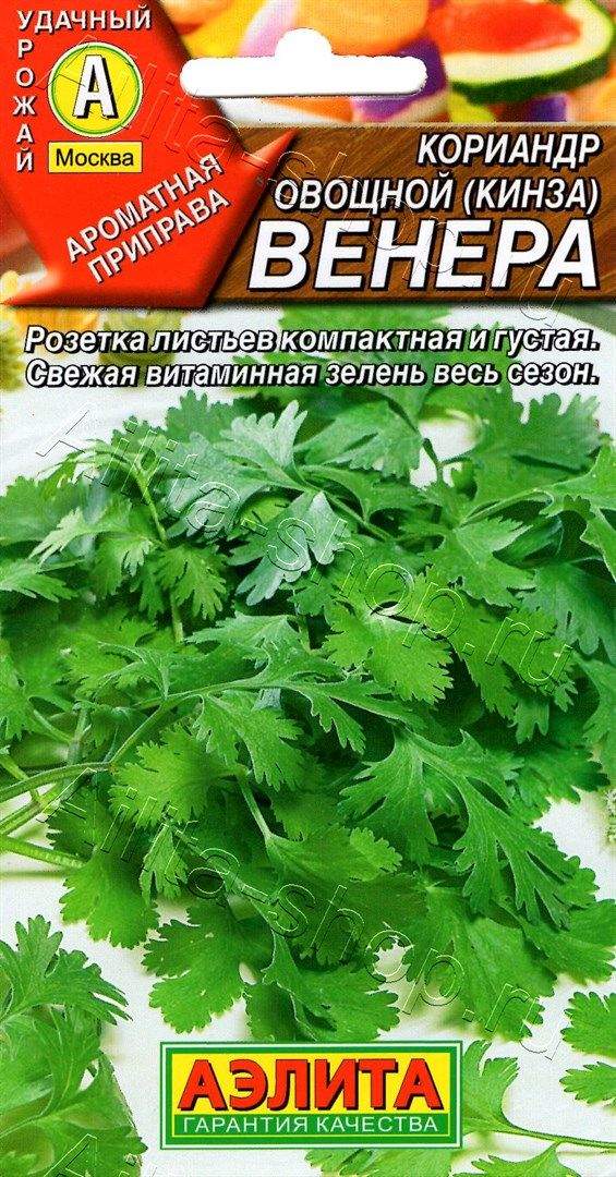 Семена Кинзы Купить