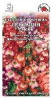 Пенстемон хартвига Сенсация смесь, 0,1г., ЦП., Золотая сотка Алтая