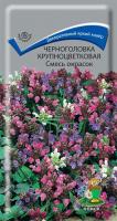Черноголовка крупноцветковая Смесь окрасок, 25шт., ЦП, Поиск