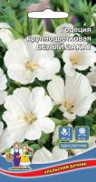 Годеция крупноцветковая Белый закат, 0,1г., ЦП, Уральский дачник