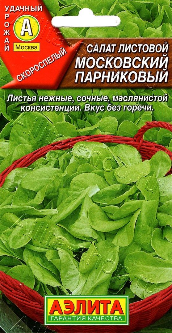 Салат московский парниковый описание. Салат листовой Московский парниковый. Салат Московский парниковый. Семена салат Московский парниковый. Салат листовой Московский.