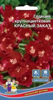 Годеция крупноцветковая Красный закат, 0,1г., ЦП, Уральский дачник