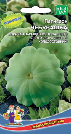 Патиссон Чебурашка, 8шт., ЦП, Уральский дачник