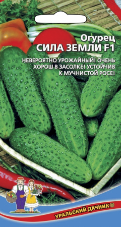 Огурец Сила земли F1, 0,25г., ЦП, Уральский дачник