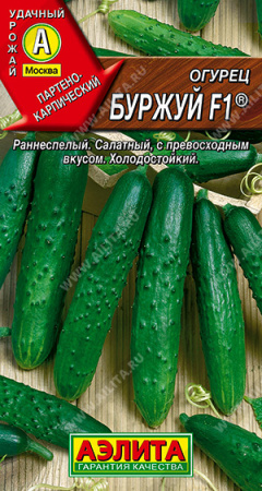 Огурец Буржуй F1, 025г., ЦП, Аэлита