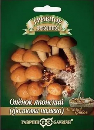 Грибы Опенок японский, 12шт., ЦП, Гавриш
