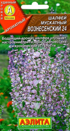 Шалфей мускатный Вознесенский 24, 02г., ЦП, Аэлита