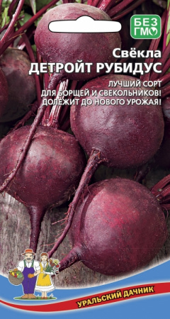 Свекла Детройт, 2г., ЦП, Уральский дачник