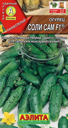 Огурец Соли сам F1, 10шт., ЦП, Аэлита