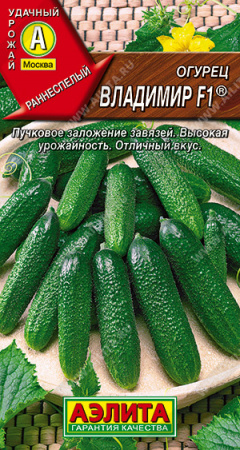 Огурец Владимир F1, 025г., ЦП, Аэлита