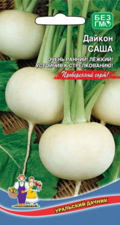 Дайкон Саша 1г ЦП Уральский дачник
