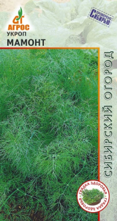 Укроп Мамонт, 2г., ЦП, Агрос, Россия