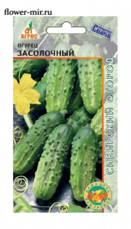 Огурец Засолочный, 10шт., ЦП, Агрос, Россия