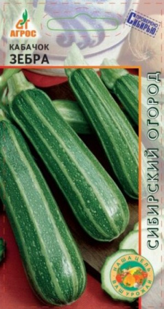 Кабачок цуккини Зебра, 7шт., ЦП, Агрос, Италия