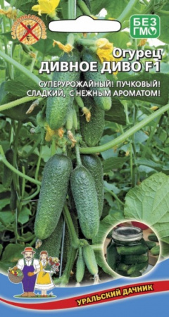 Огурец Дивное диво F1, 12шт., ЦП, Уральский дачник