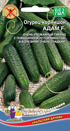 Огурец Адам F1, ЦП, Уральский дачник