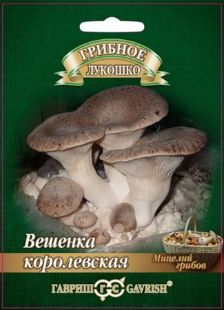 Грибы Вешенка Королевская, 12шт., ЦП, Гавриш