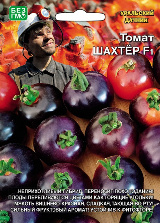 Томат Шахтер F1, 12шт., ЦП, Уральский дачник
