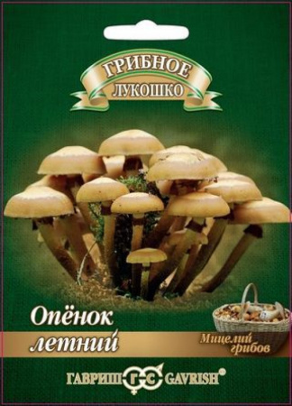 Грибы Опенок летний, 12шт., ЦП, Гавриш