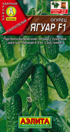 Огурец Ягуар F1, 025г., ЦП, Аэлита