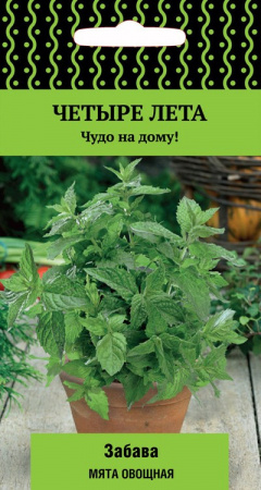 Мята овощная Забава, 20шт., ЦП, Поиск