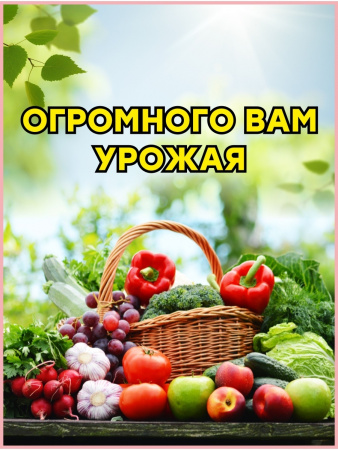 Корнеудалитель с деревянной ручкой