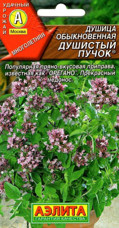 Душица обыкновенная Радуга, м/ф, 005г., Аэлита