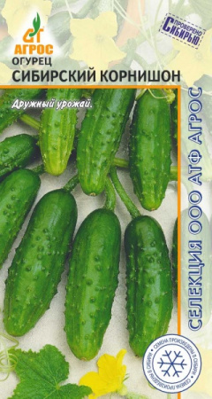 Огурец Сибирский корнишон, 10шт., ЦП, Агрос, Россия