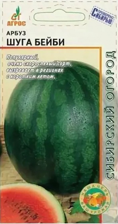 Арбуз Шуга бэйби, 10шт., ЦП, Агрос, Соединенные штаты
