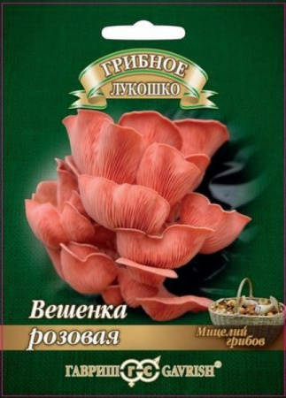 Грибы Вешенка розовая, 12шт., ЦП, Гавриш