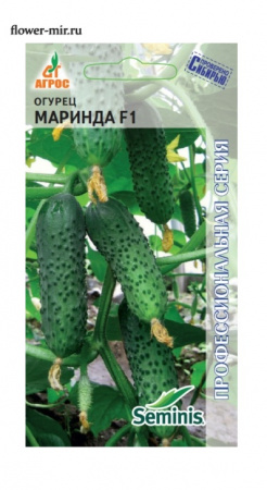 Огурец  Маринда F1, 8шт., ЦП, Агрос, Соединенные штаты