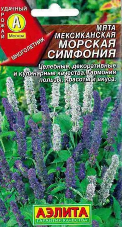 Мята Мексиканская Морская симфония, 005г., ЦП, Аэлита