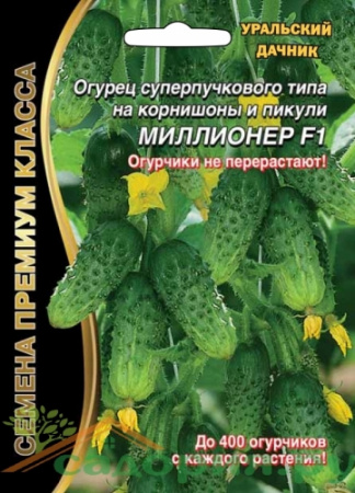 Огурец суперпучкового типа Миллионер F1 Премиум класс, 5шт.+2 шт. опылитель, ЦП, Уральский дачник