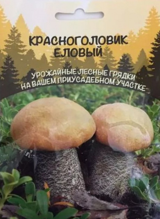 Грибы Красноголовик еловый, 30мл., ЦП, Сортсемовощ