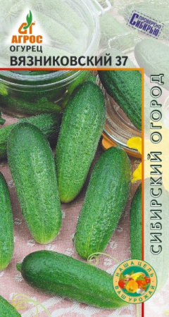 Огурец Вязниковский 37, 10шт., ЦП, Агрос
