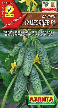 Огурец 12 месяцев F1, 025г., ЦП, Аэлита