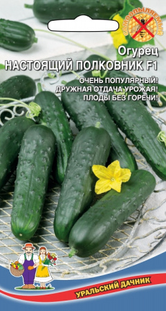 Огурец Настоящий полковник F1, 10шт., ЦП, Уральский дачник