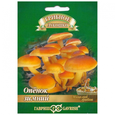 Грибы Опенок зимний, 12шт., ЦП, Гавриш