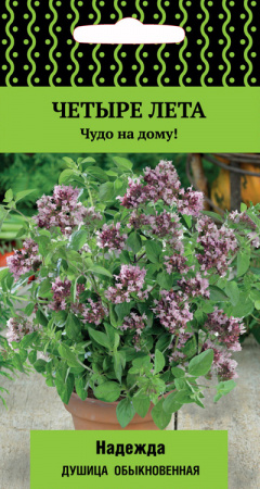 Душица обыкновенная Надежда, 20шт., ЦП, Четыре лета, Поиск