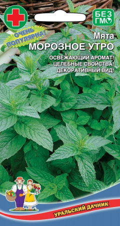 Мята Морозное утро, 0,05г., ЦП, Уральский дачник