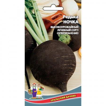 Редька Ночка, 1г., ЦП, Уральский дачник
