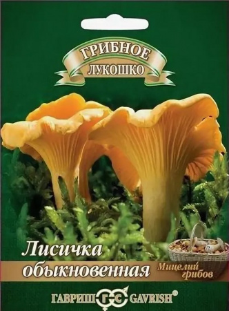 Грибы Лисичка обыкновенная, 15мл., ЦП, Гавриш
