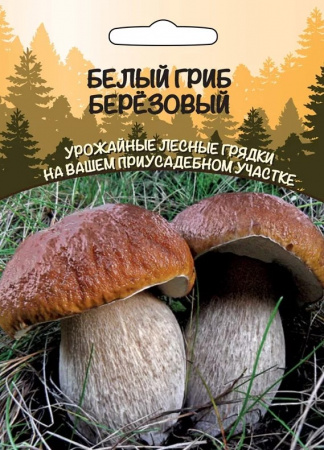 Грибы Белый гриб березовый, 30мл., ЦП, Сортсемовощ