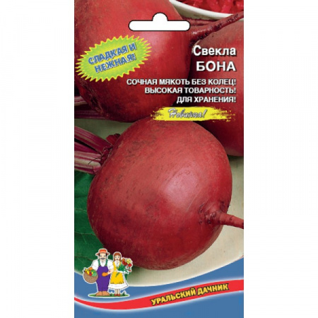 Свекла Бона, 2г., ЦП, Уральский дачник