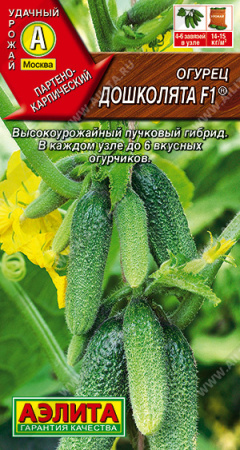 Огурец Дошколята, 025г., ЦП, Аэлита
